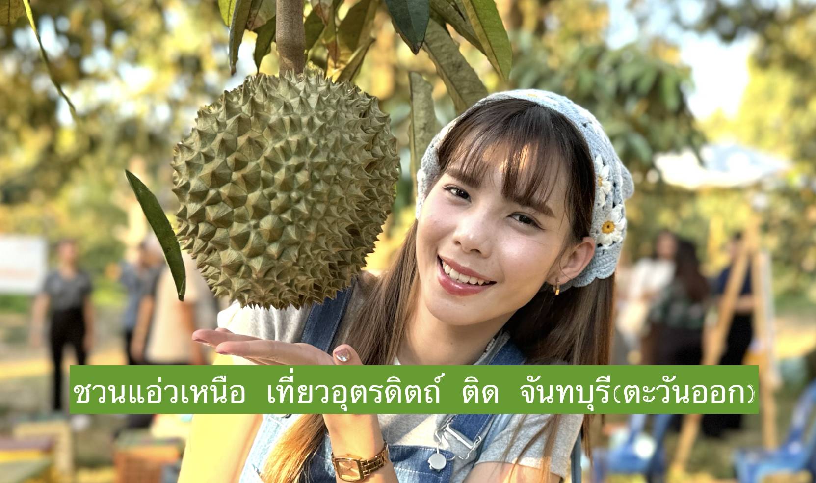 IMAGE - 355